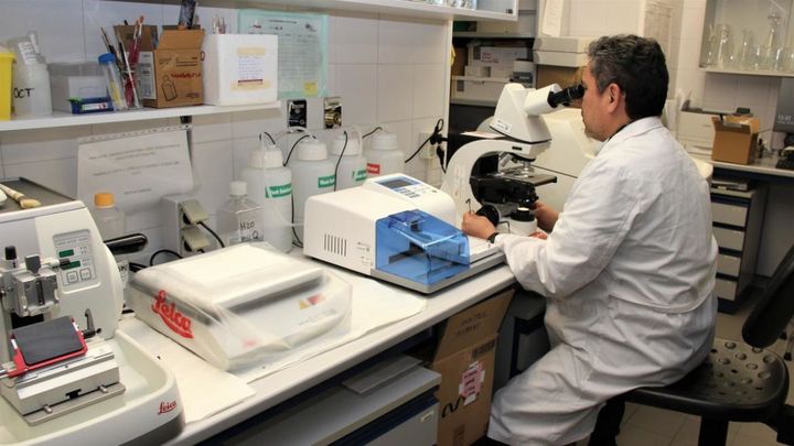 Análisis clínicos en un laboratorio