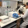 Aislado en España con su familia un turista que dio positivo de hantavirus tras pasar por Francia