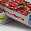 Reparto de fresas este martes en Sol en una nueva protesta del campo