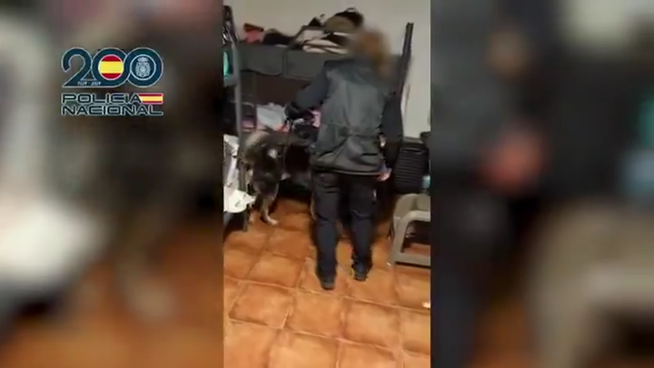 Encerradas en un sótano y vigiladas las 24 horas: desmantelada en Móstoles una red que explotaba sexualmente a 18 mujeres