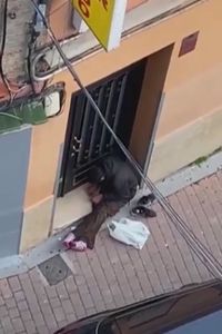 Vecinos de Puente de Vallecas denuncian consumo y trapicheo de drogas a plena luz del día