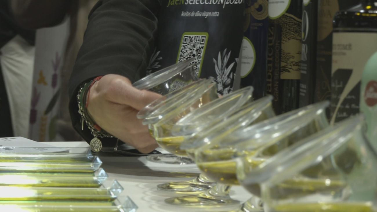 Arranca la 13ª World Olive Oil Exhibition, el mayor encuentro mundial del aceite de oliva en Ifema