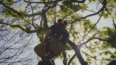 Así se preparan los futuros jardineros en el Real Jardín Botánico de Madrid