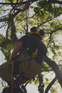 Así se preparan los futuros jardineros en el Real Jardín Botánico de Madrid