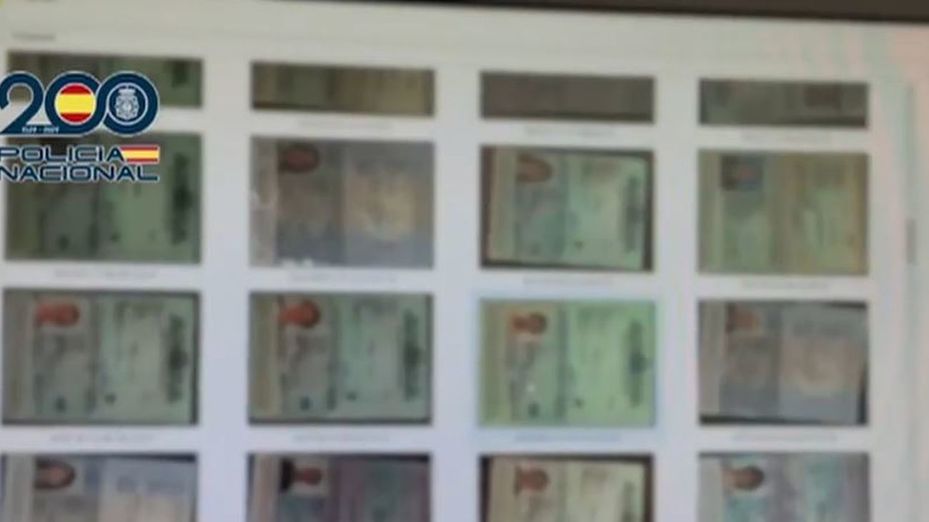 Cae una organización criminal que captaba a mujeres ucranianas para cometer estafas en Valencia y Alicante