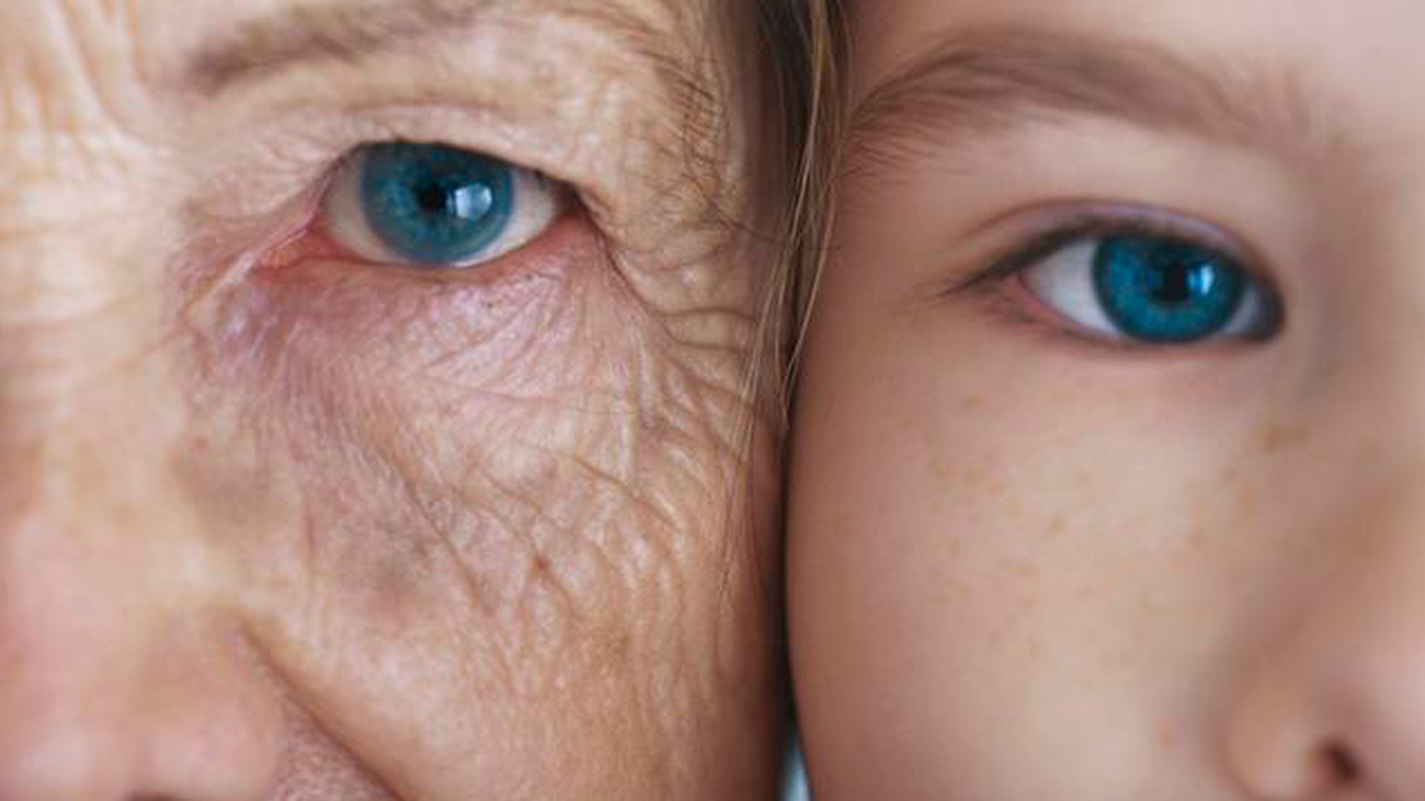 N-Gene: La startup que estudia cómo alargar la vida