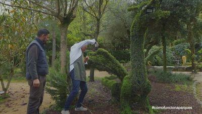 Cómo funciona Madrid: parques y jardines de Madrid