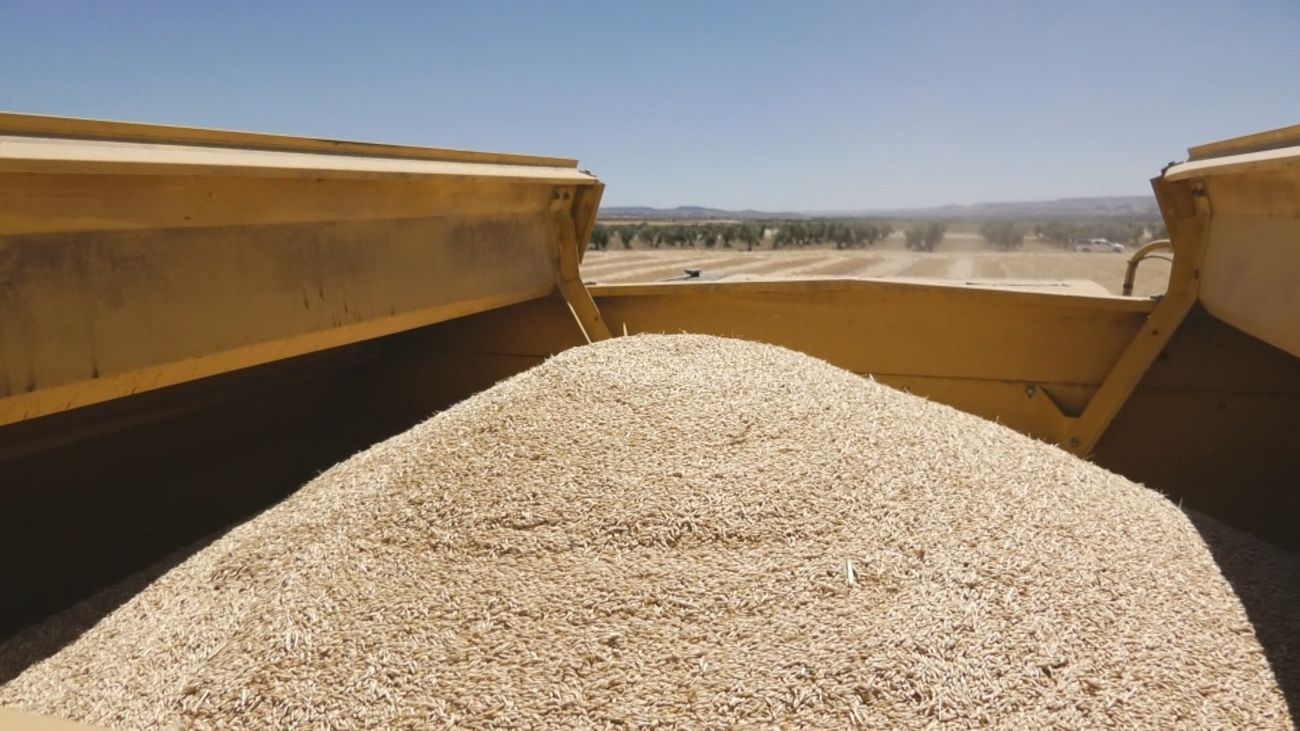 Asaja alerta de las consecuencias de la guerra en el campo: “Cada día que se alarga el conflicto, aumenta la preocupación”