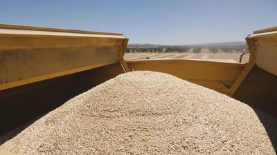 Asaja alerta de las consecuencias de la guerra en el campo: “Cada día que se alarga el conflicto, aumenta la preocupación”