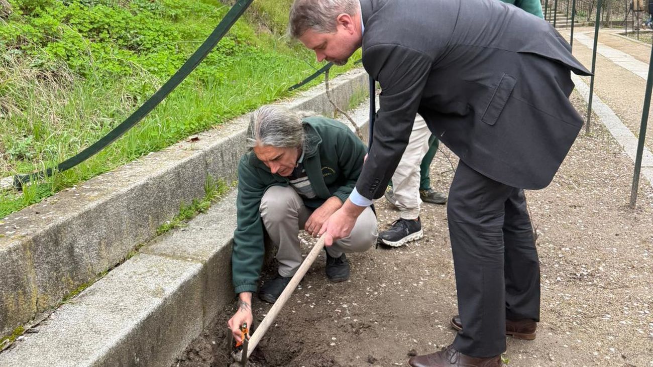 El embajador de Eslovenia en España y técnicos del Real Jardín Botánico, durante la plantación