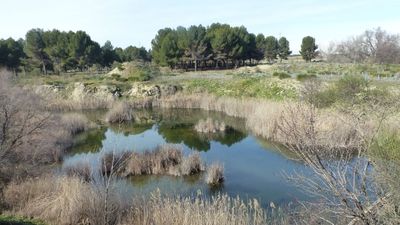 Getafe ya tiene su 'Sendero azul' en las Lagunas de Horna