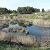 Getafe ya tiene su 'Sendero Azul' en las Lagunas de Horna