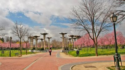Alcorcón refuerza la vigilancia tras una ola de robos de cableado del alumbrado público
