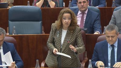 La Comunidad de Madrid acusa a Mónica García de fomentar "el turismo sanitario" tras devolver cobertura a migrantes irregulares