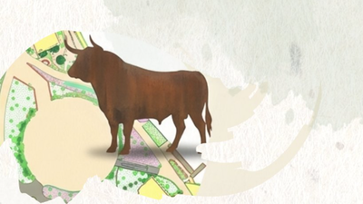 Galapagar transformará el parque El Toril en el primer museo taurino al aire libre