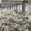 Cuatro detenidos y 1.600 plantas de marihuana incautadas en Colmenar Viejo
