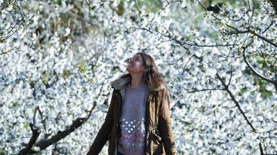 Qué nos espera esta primavera según la AEMET: previsión de lluvias y temperaturas