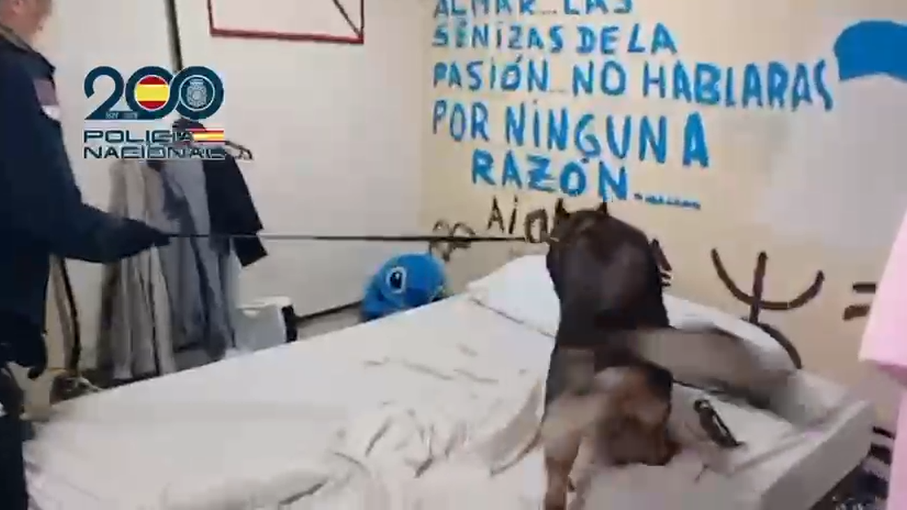 Desmantelan 3 narcolocales en Alcorcón e intervienen una katana y un arma simulada