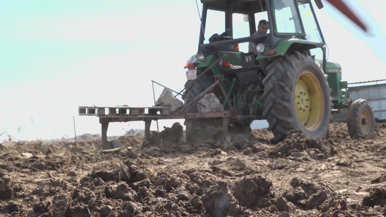 El campo urge ayudas por la subida del gasóleo y de los fertilizantes que ven "especulativa"