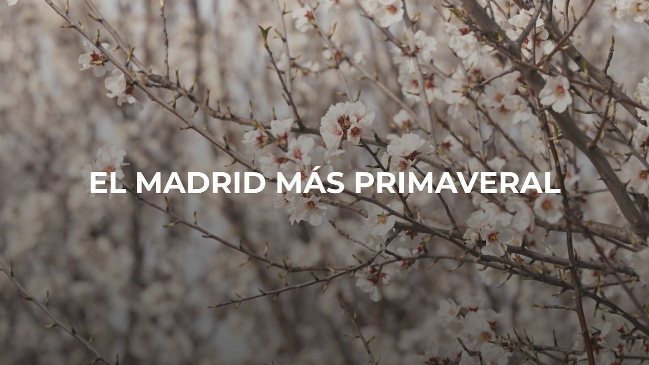Enamorados de Madrid: Primavera
