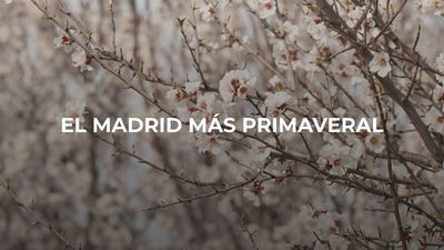 Enamorados de Madrid: Primavera