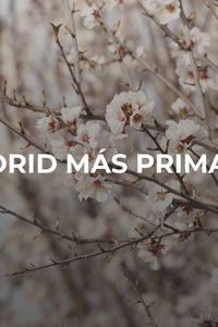 Enamorados de Madrid: Primavera