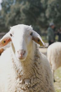 Aprender del campo a veinte minutos de Madrid