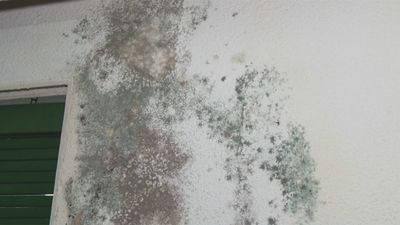 Vecinos de Ciudad Lineal denuncian humedad y moho en su vivienda por una avería sin resolver en la comunidad