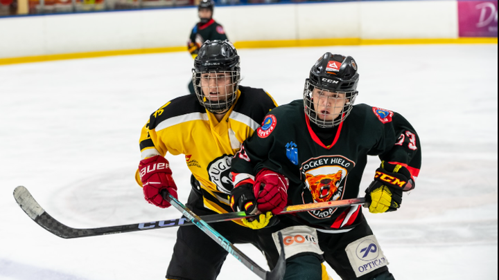 Majadahonda, subcampeón de la liga femenina  de hockey hielo