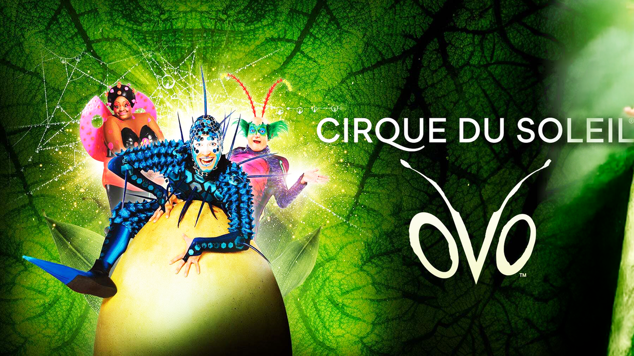 El Circo del Sol estrena en Madrid 'Ovo'