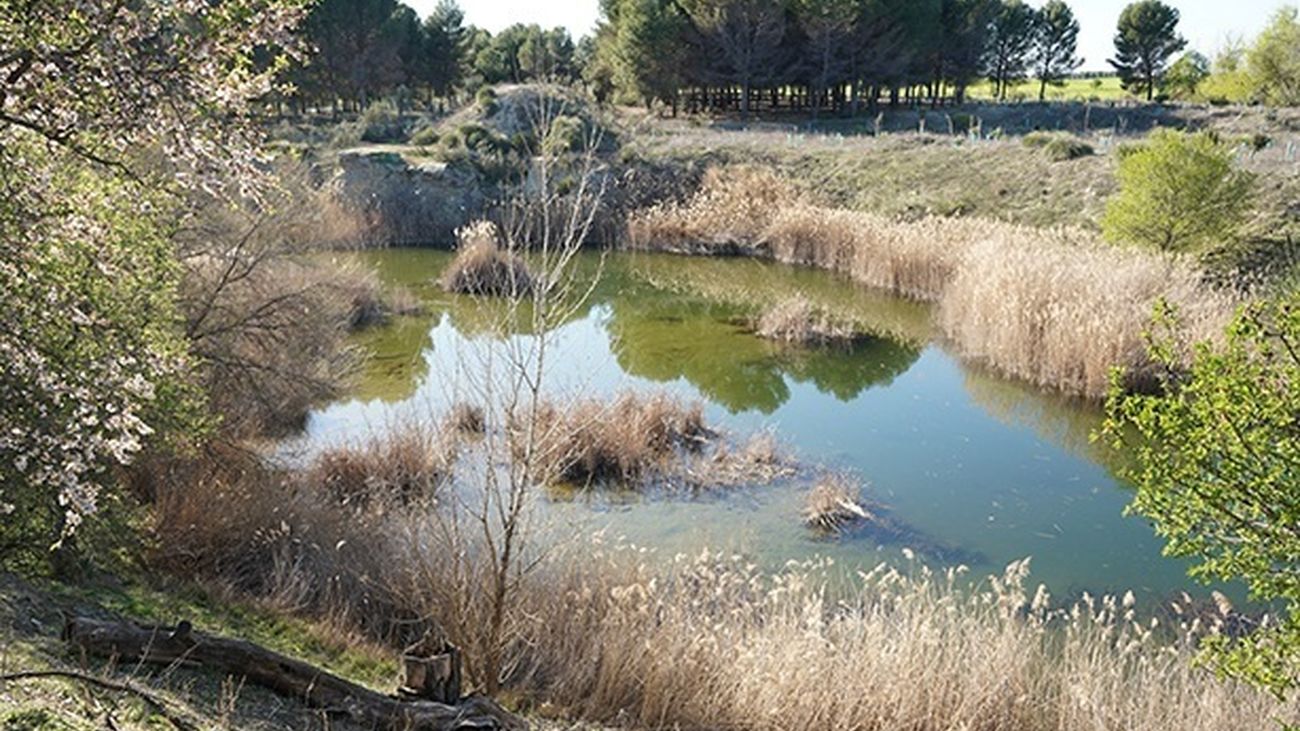 Lagunas de Horna en Getafe