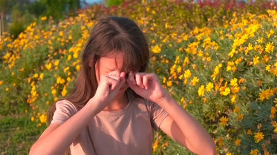 Alerta por alergias en España: primavera extrema con picos de polen de hasta 12.000 granos y especial impacto en Madrid