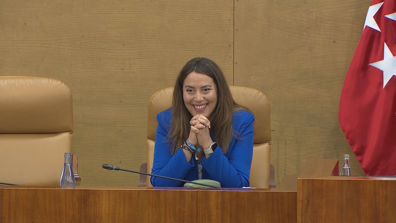 Ana Millán, en la Asamblea de Madrid