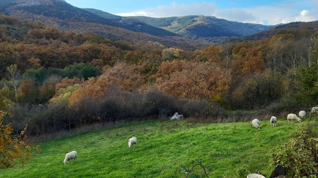 Paisaje de Puebla de la Sierra, en la Sierra del Rincón,  Valle Norte del Lozoya