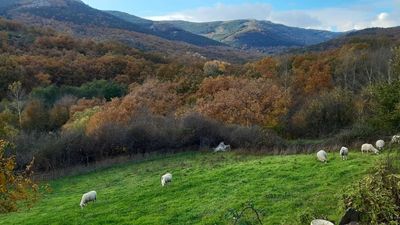 Más de 2 millones para gestionar los residuos de los municipios del  Valle Norte del Lozoya
