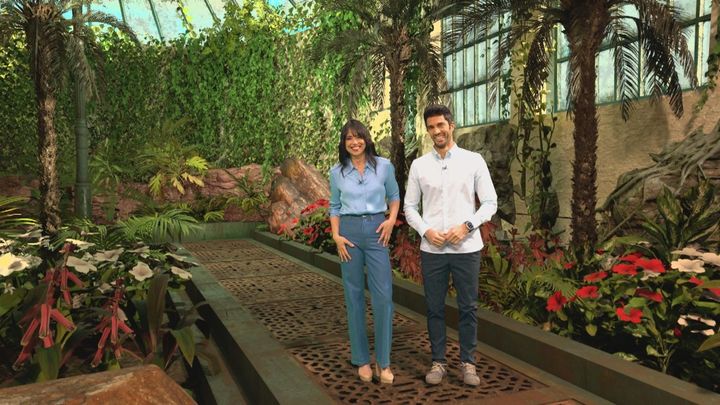 Disfruta la primavera 21.03.2026