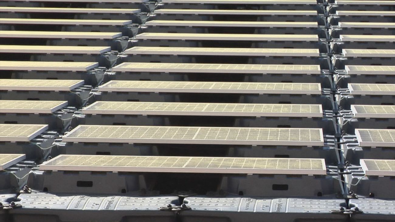 La Comunidad de Madrid exige al Gobierno auditar las declaraciones de impacto ambiental de macroplantas fotovoltaicas