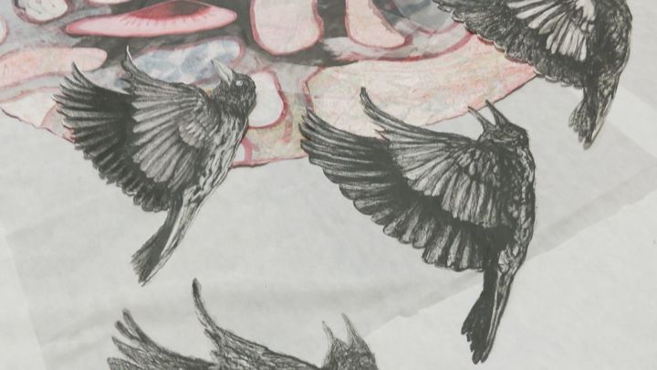 El universo de Laura Lio, la artista argentina que lleva 30 años expandiendo su arte en Madrid