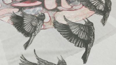 El universo de Laura Lio, la artista argentina que lleva 30 años expandiendo su arte en Madrid