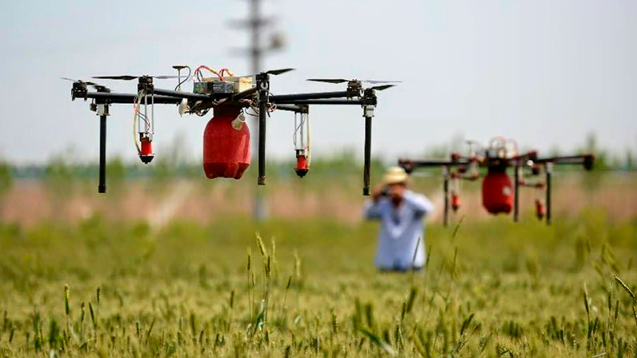 Drones para el campo madrileño: IMIDRA lanza un curso gratuito para la aplicación de fitosanitarios