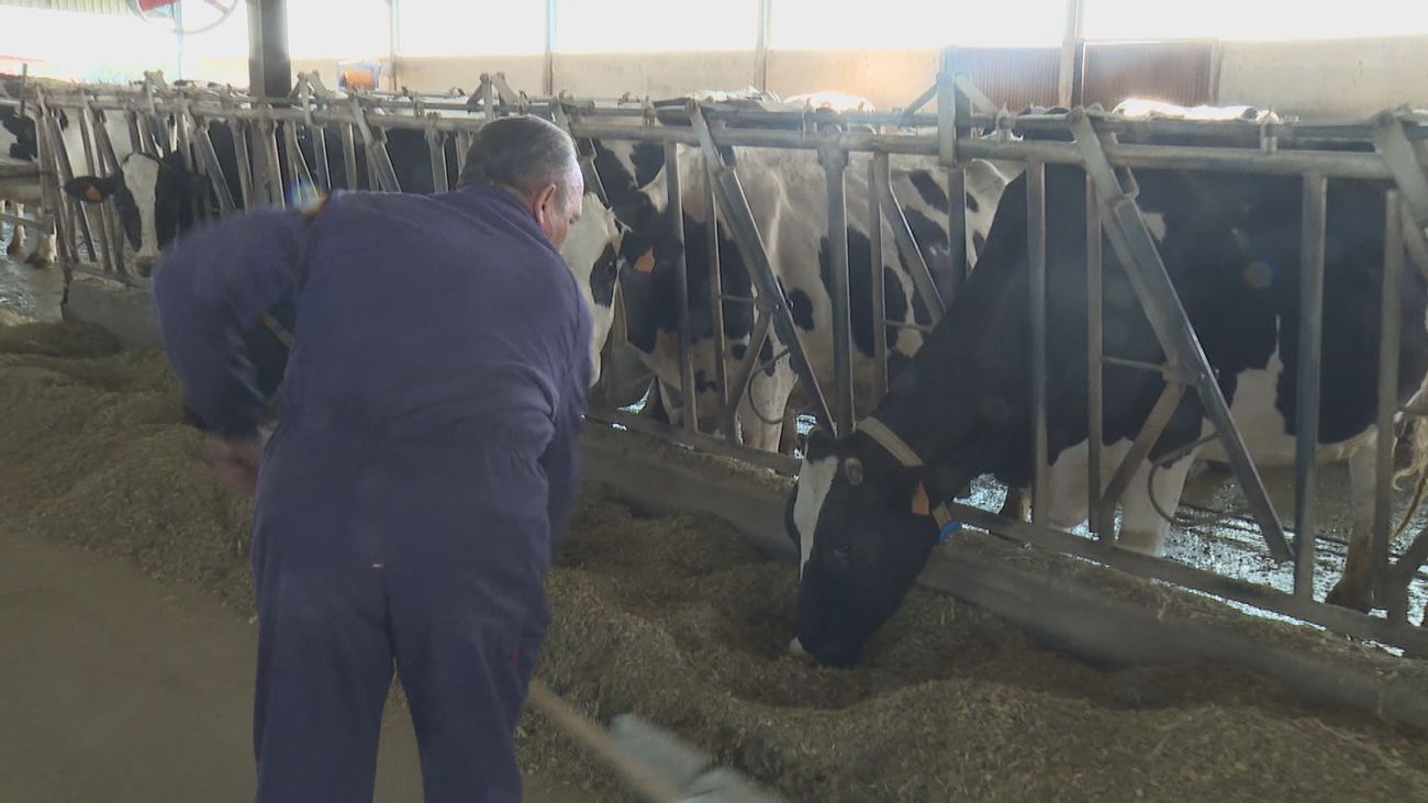 Ganaderos del sector lácteo protestan en Segovia por los bajos precios del mercado