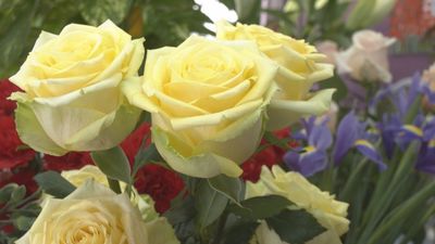 Las flores protagonistas de la Semana Santa
