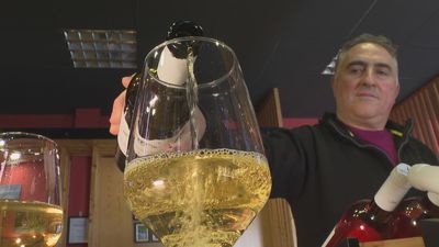 Tres vinos de Arganda del Rey, premiados en el concurso nacional Vinespaña