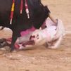 Terrible cogida en Las Ventas del diestro Cristian Pérez