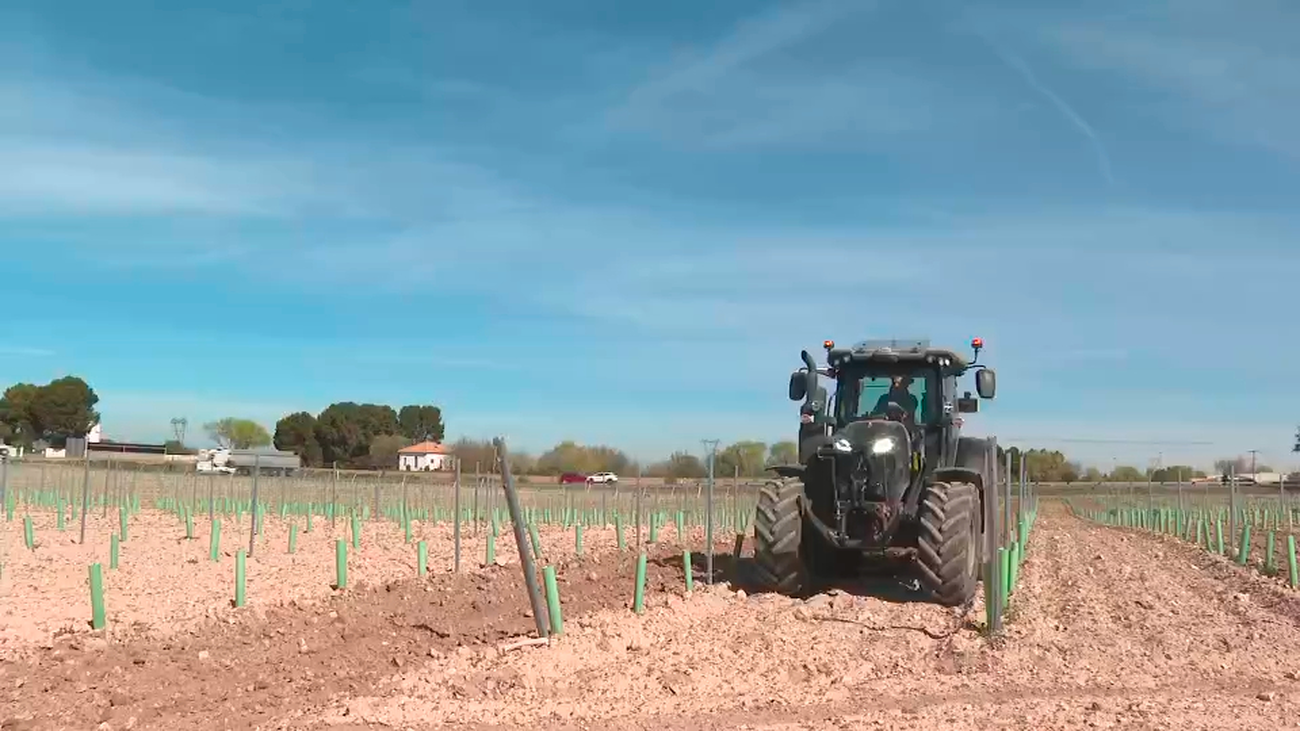 La Comunidad de Madrid abre el plazo para solicitar las ayudas para la ...