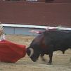 El torero Ricardo Ortiz muere corneado por un toro en los corrales de la plaza de Málaga