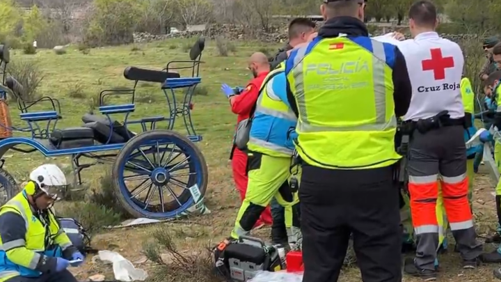 Siete heridos en un grave accidente con un coche de caballos en Miraflores de la Sierra