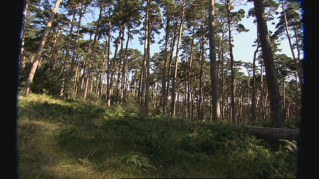Satisfacción a medidas en la Comunidad por la ampliación del Parque Nacional de Guadarrama