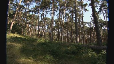 Satisfacción a medidas en la Comunidad por la ampliación del Parque Nacional de Guadarrama