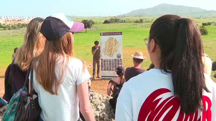 Estudiantes de la Universidad de Nueva York aprenden el oficio de pastor en Colmenar Viejo